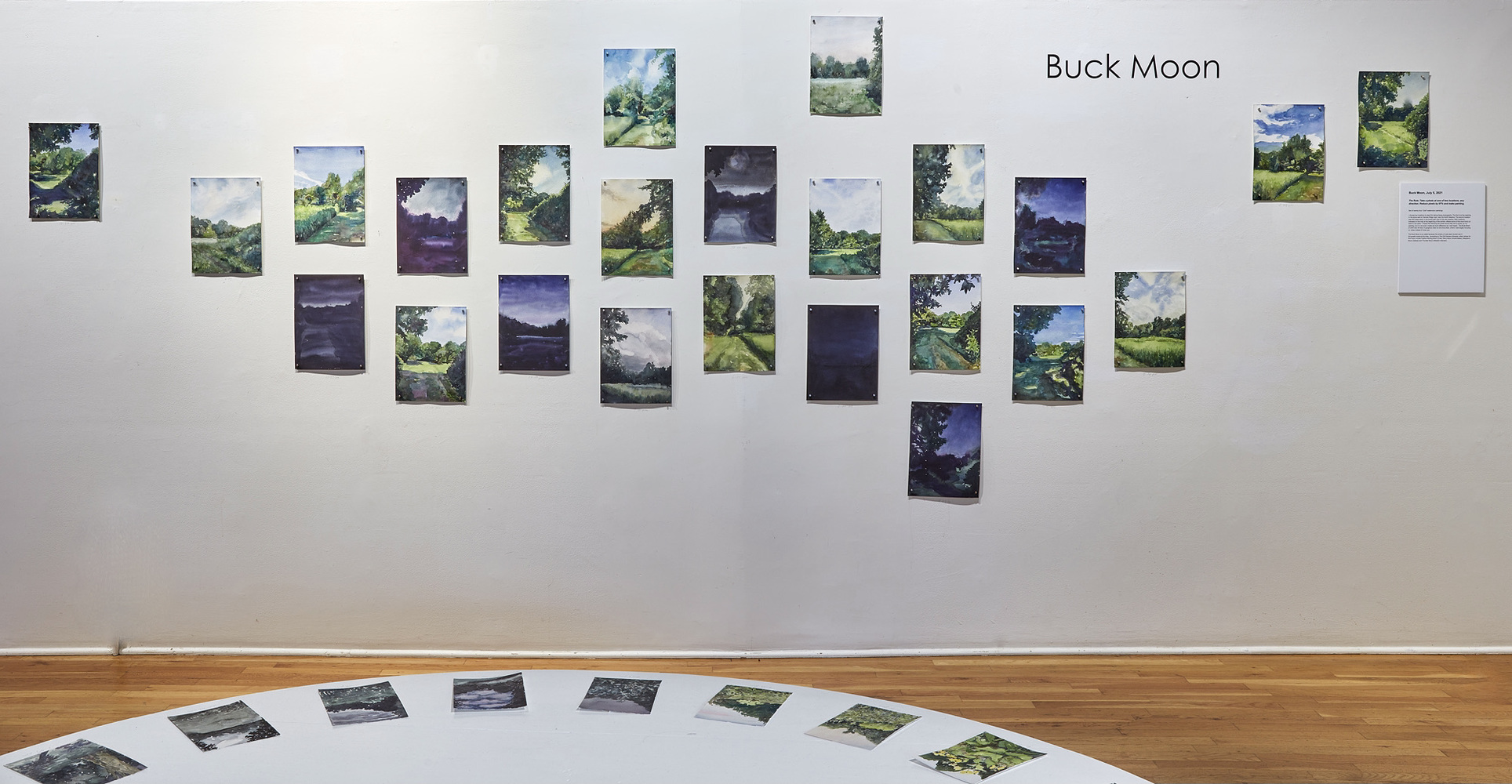 Cynthia MacCollum Buck Moon 