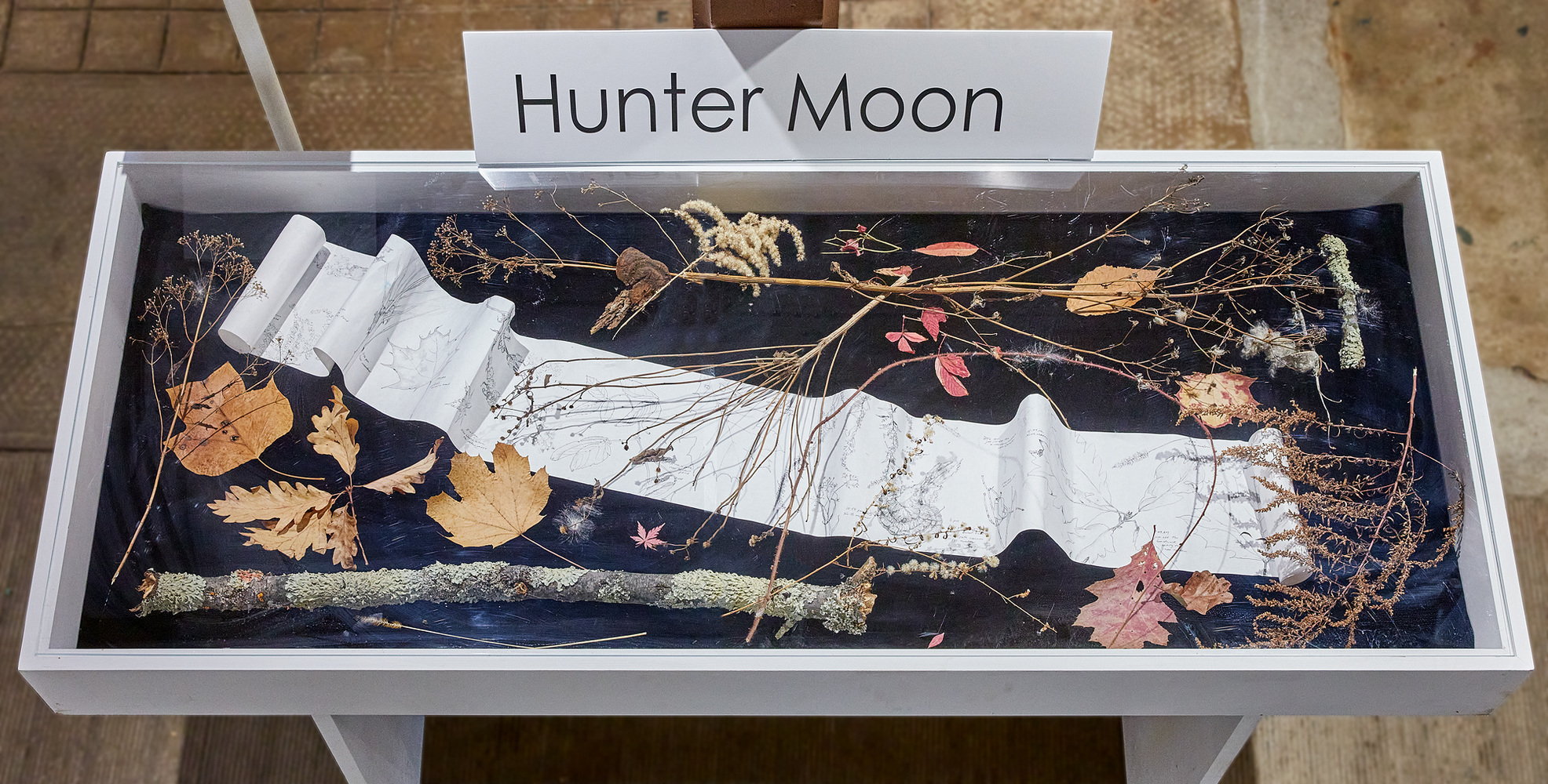 Cynthia MacCollum Hunter Moon 