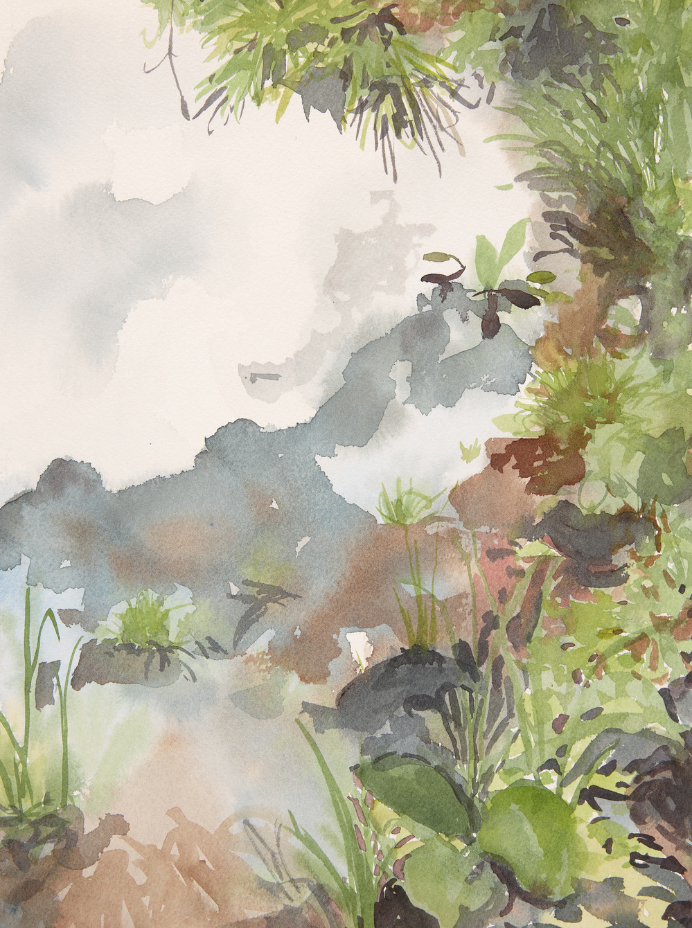 Cynthia MacCollum Flower Moon watercolor