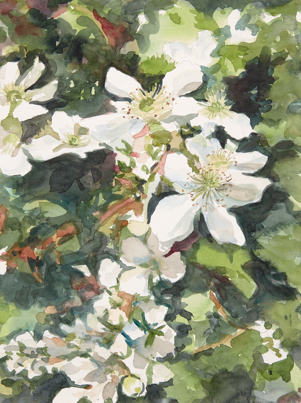 Cynthia MacCollum Flower Moon watercolor