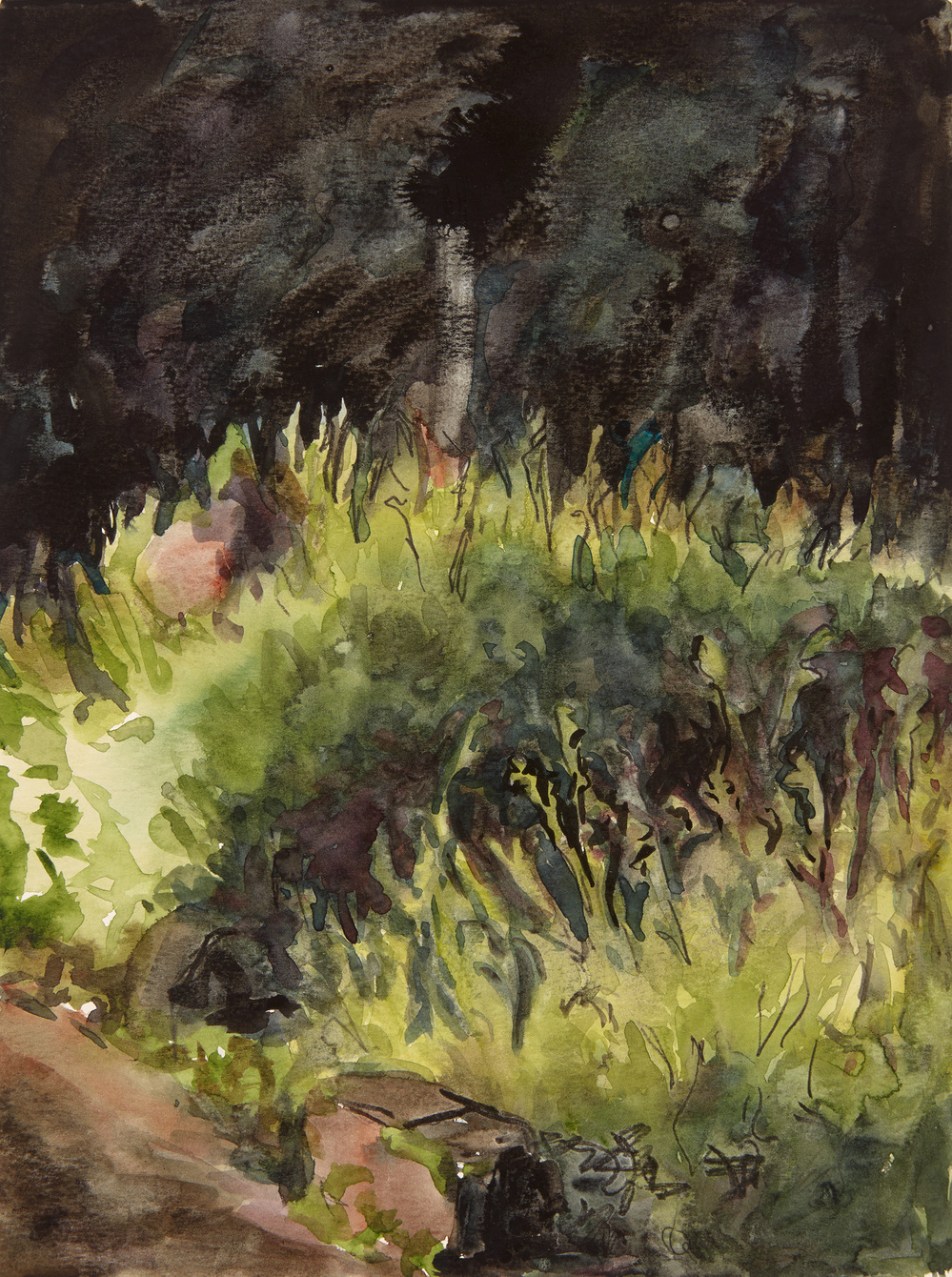 Cynthia MacCollum Flower Moon watercolor, ink, charcoal