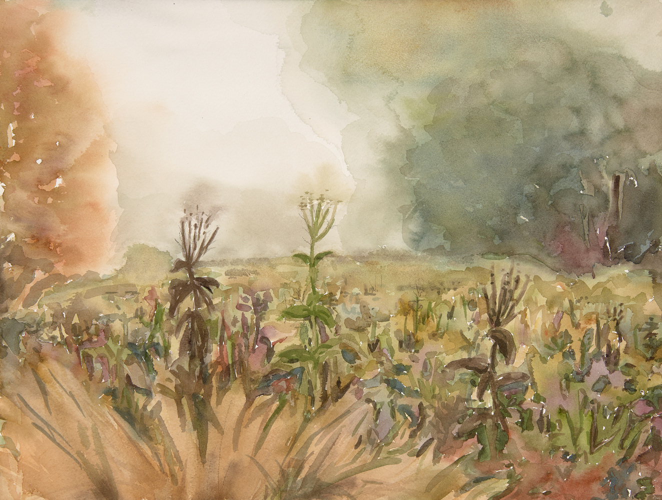 Cynthia MacCollum Harvest Moon 