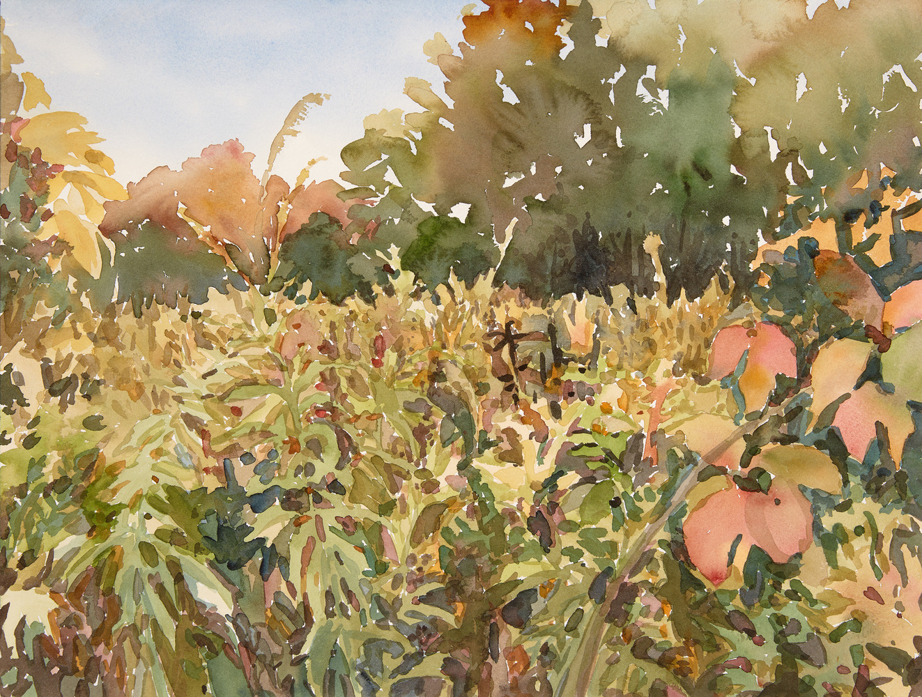 Cynthia MacCollum Harvest Moon 