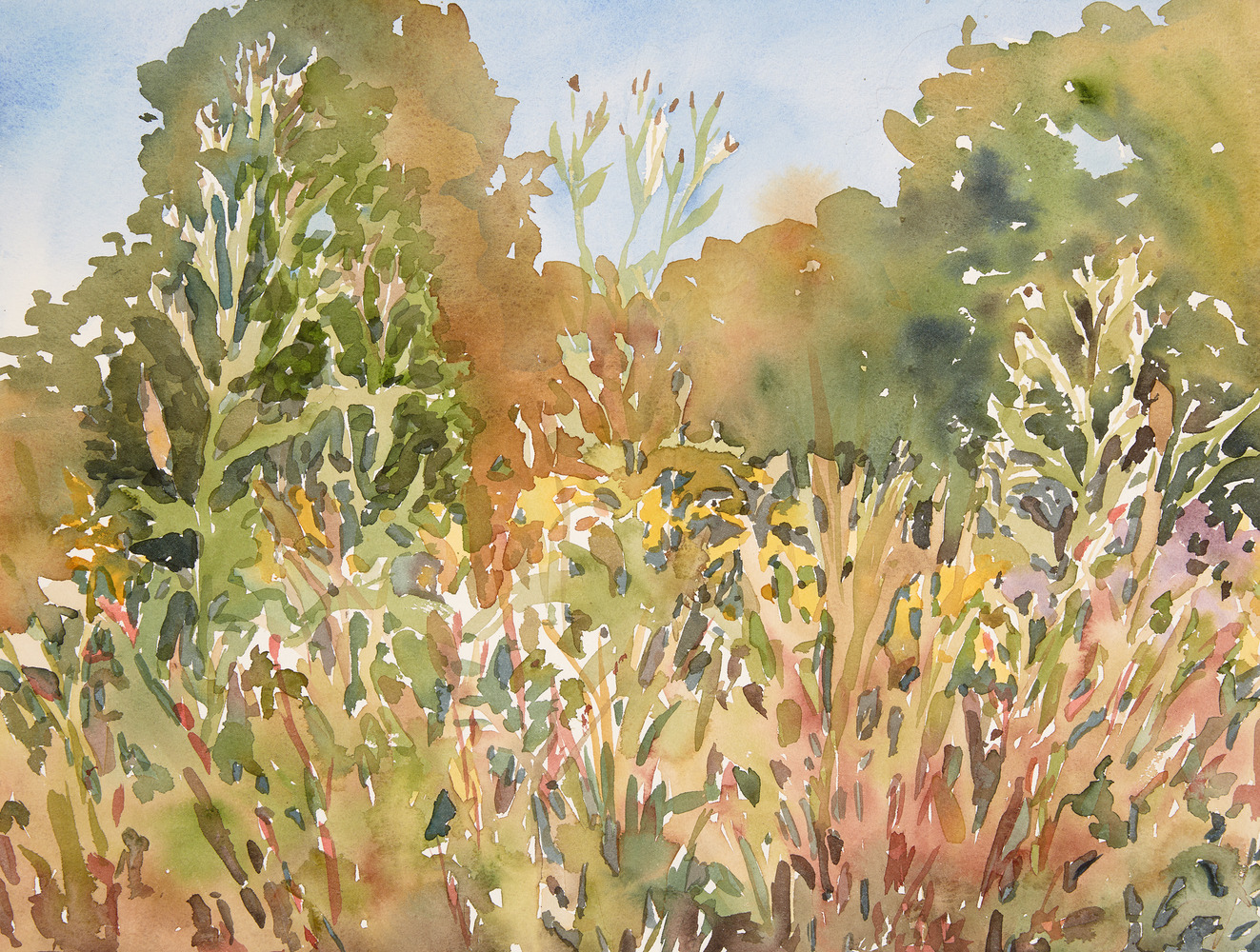 Cynthia MacCollum Harvest Moon 