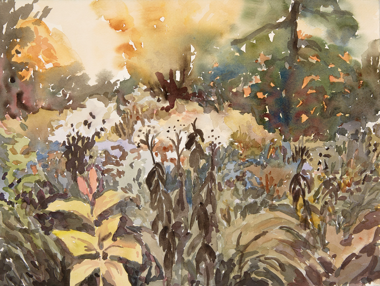 Cynthia MacCollum Harvest Moon 