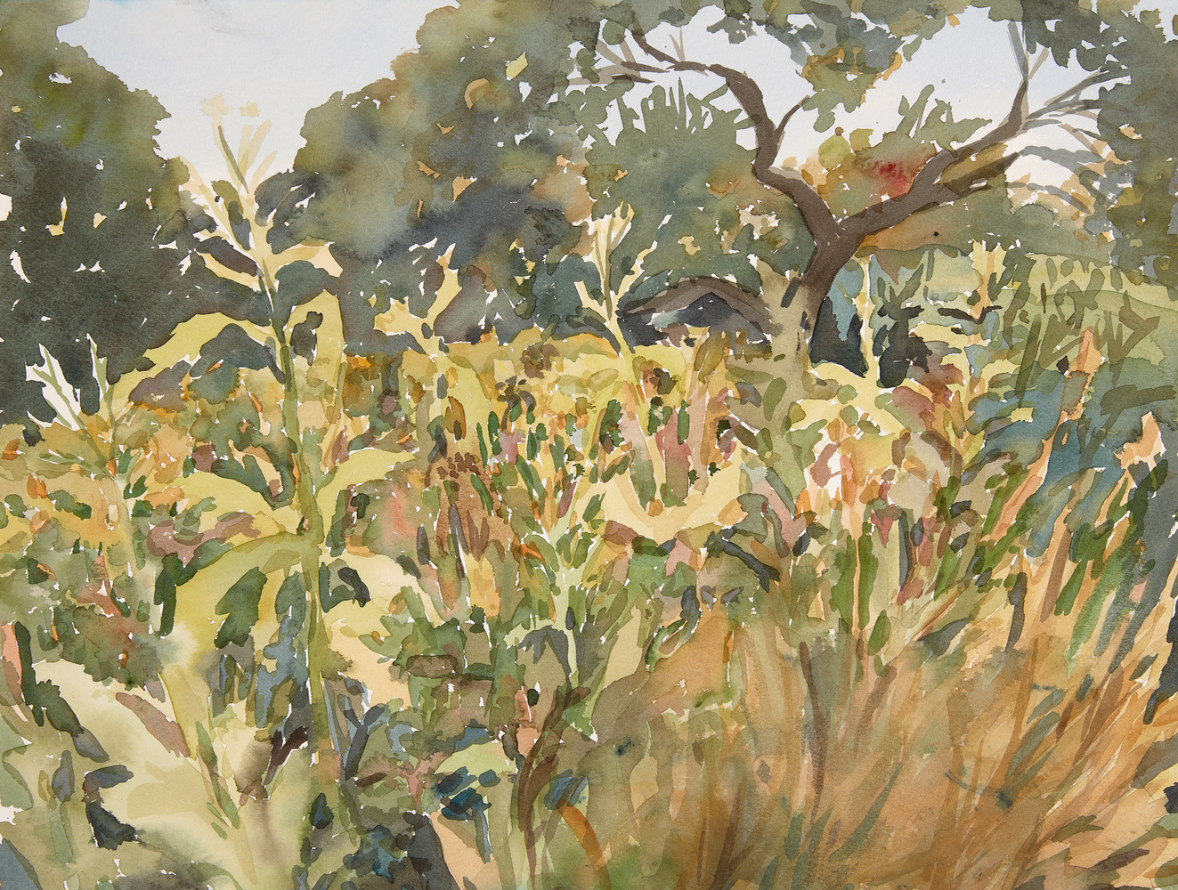 Cynthia MacCollum Harvest Moon 