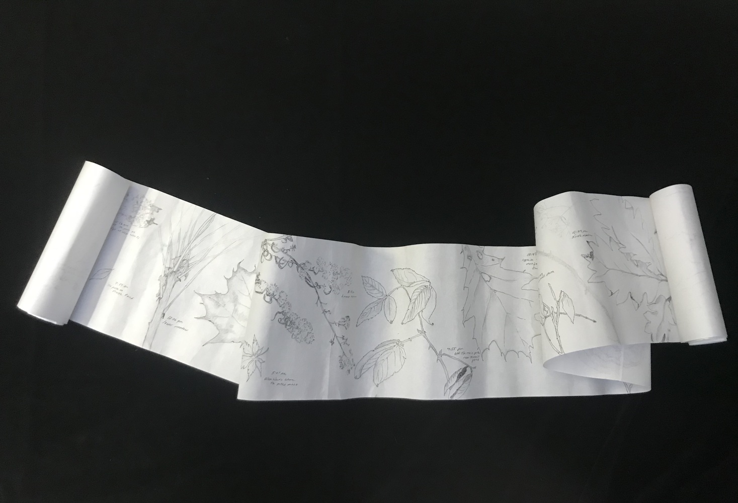 Cynthia MacCollum Hunter Moon 