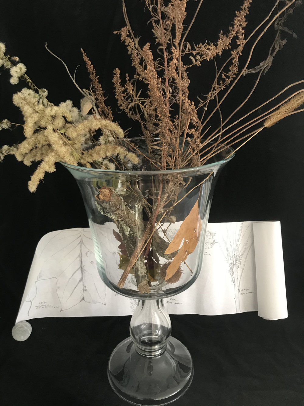 Cynthia MacCollum Hunter Moon 