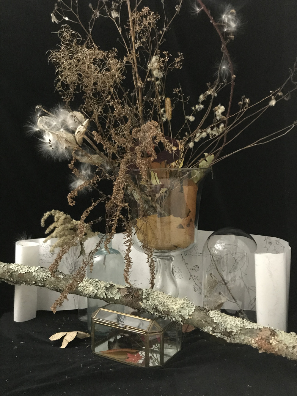 Cynthia MacCollum Hunter Moon 