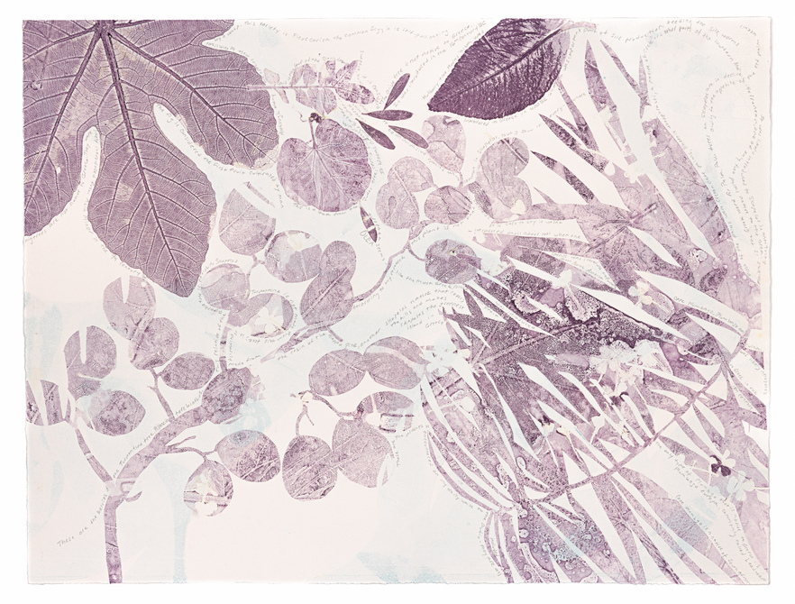 Cynthia MacCollum Micrography 