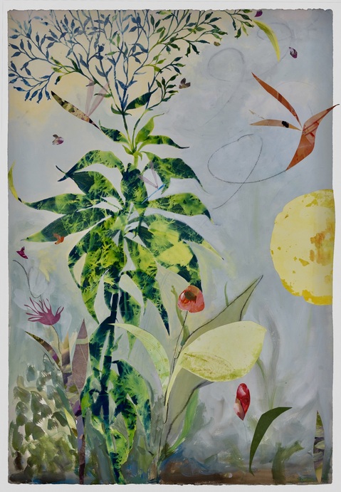 Cynthia MacCollum Habitat 