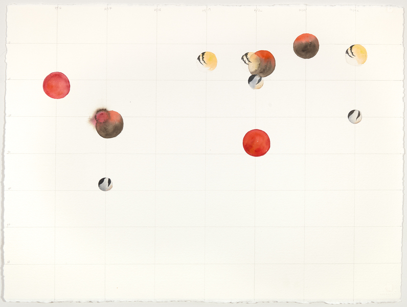 Cynthia MacCollum Birdsong 