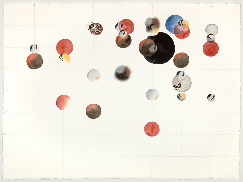 Cynthia MacCollum Birdsong 