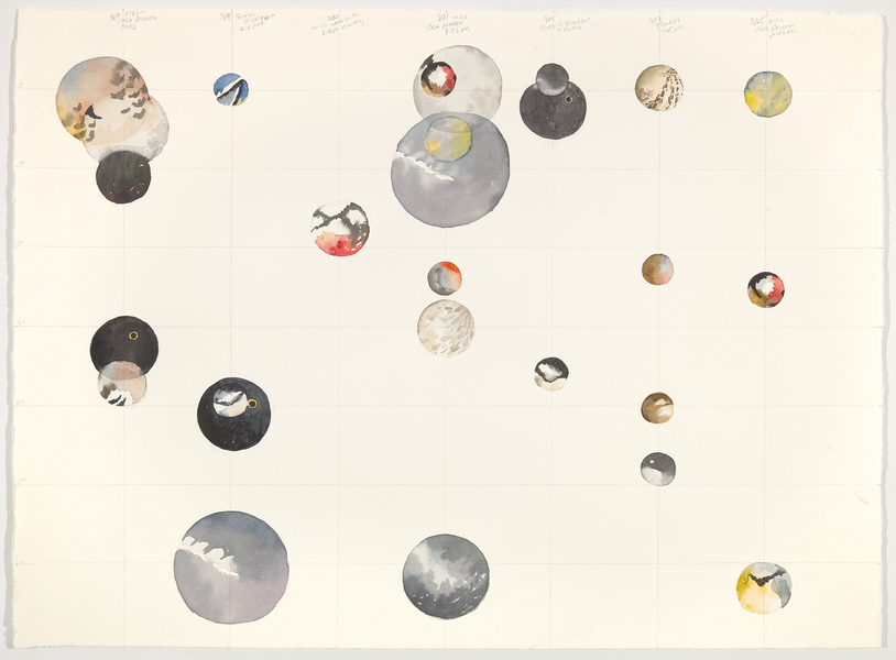 Cynthia MacCollum Birdsong 