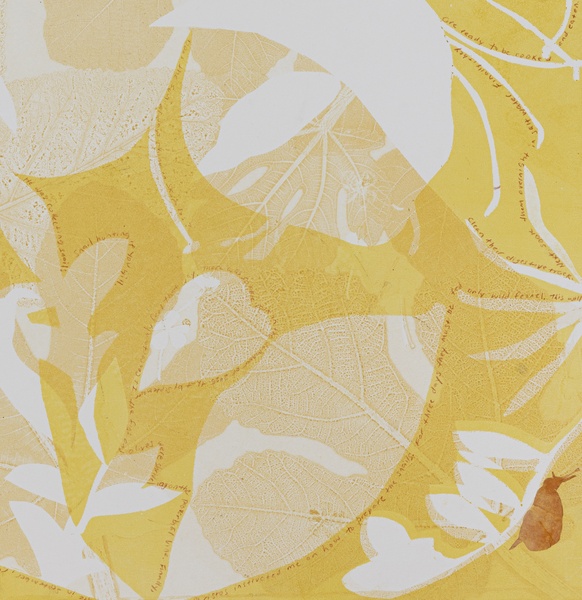 Cynthia MacCollum Micrography 