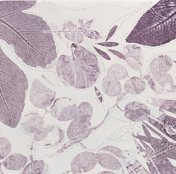 Cynthia MacCollum Micrography 