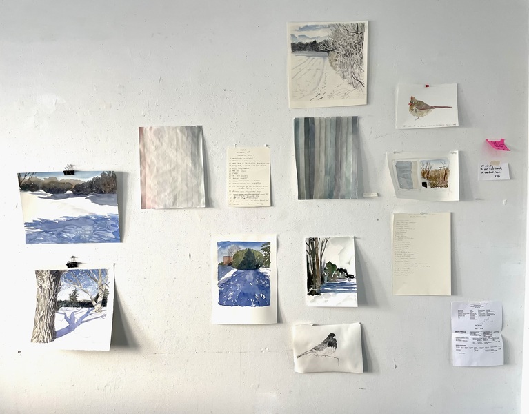 Cynthia MacCollum Subnivea 