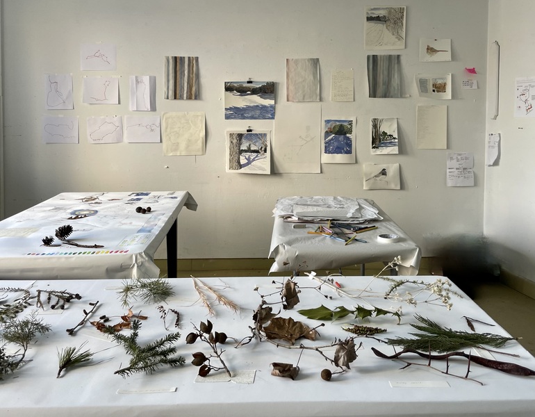 Cynthia MacCollum Subnivea 