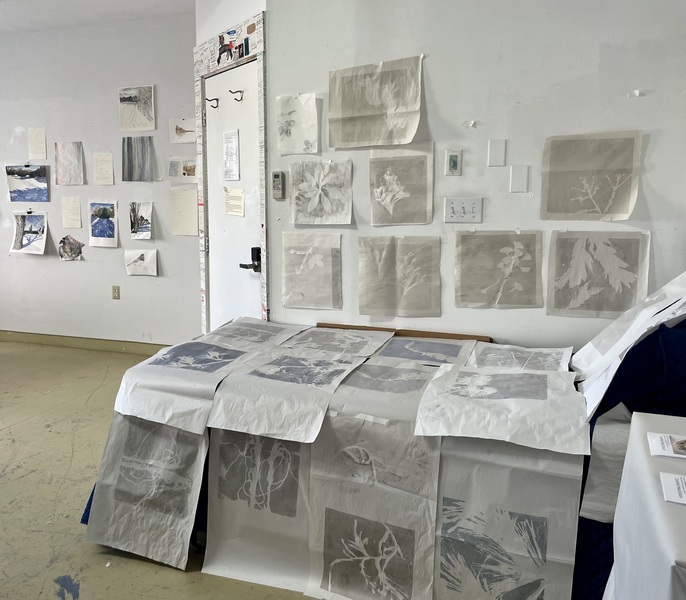 Cynthia MacCollum Subnivea 