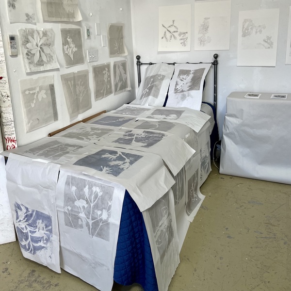 Cynthia MacCollum Subnivea 