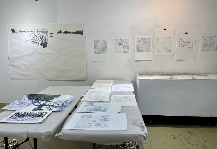 Cynthia MacCollum Subnivea 