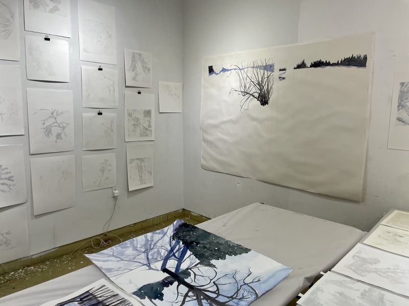 Cynthia MacCollum Subnivea 