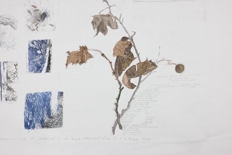 Cynthia MacCollum Subnivea 