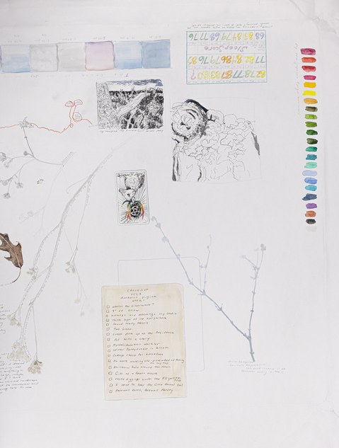 Cynthia MacCollum Subnivea 