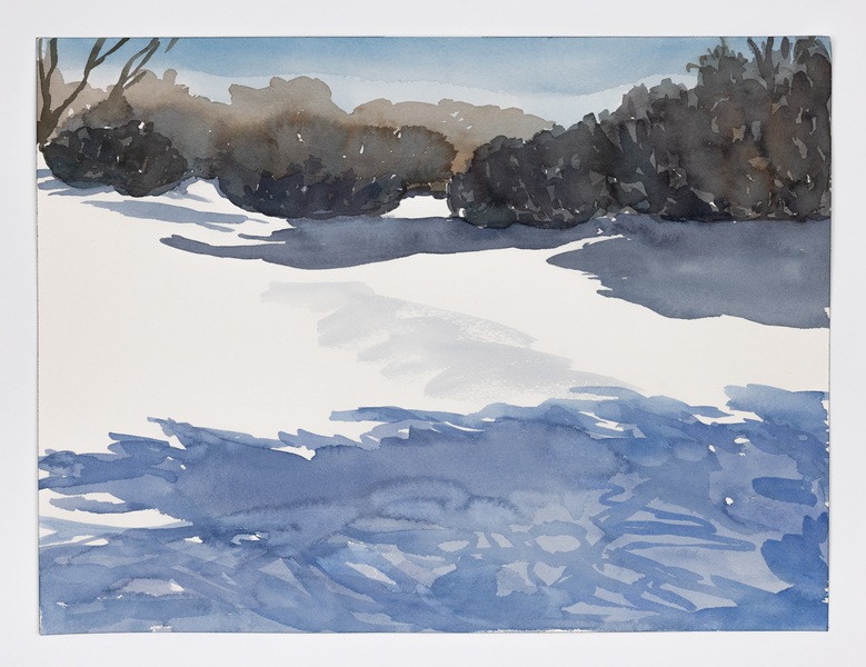 Cynthia MacCollum Subnivea 