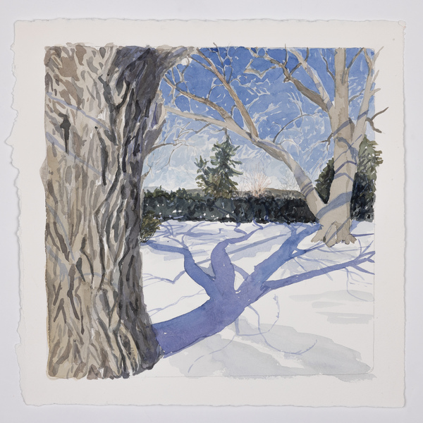 Cynthia MacCollum Subnivea 