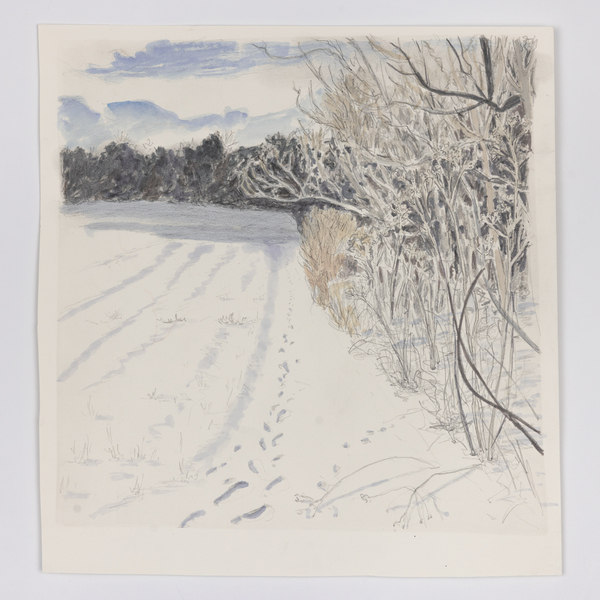 Cynthia MacCollum Subnivea 