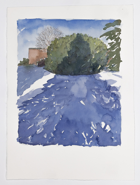 Cynthia MacCollum Subnivea 