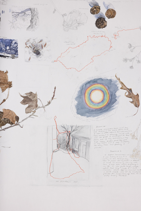 Cynthia MacCollum Subnivea 