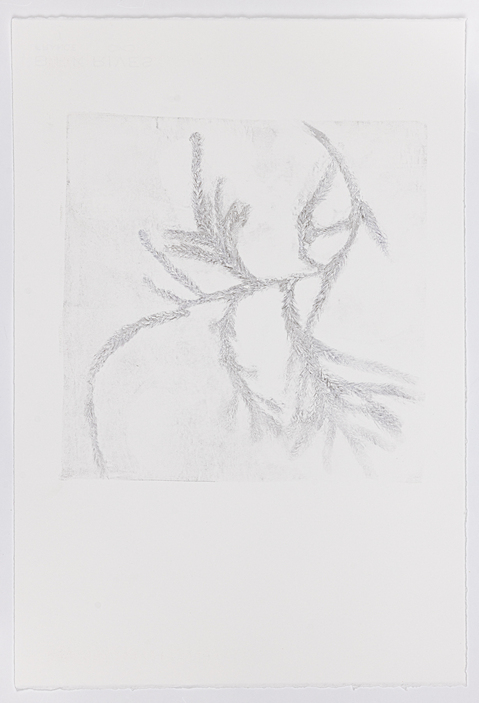 Cynthia MacCollum Subnivea 