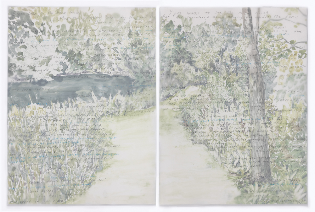 Cynthia MacCollum Micrography 