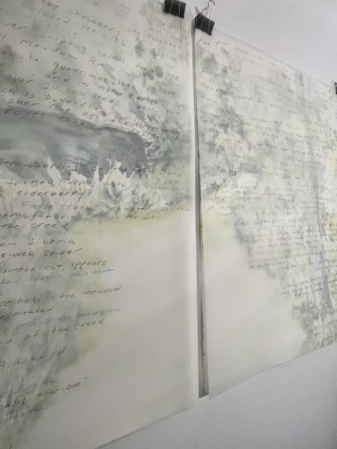 Cynthia MacCollum Micrography 