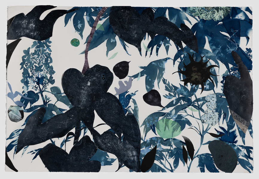 Cynthia MacCollum Habitat 