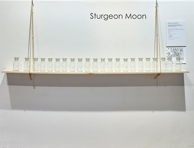 Cynthia MacCollum Sturgeon Moon Glass bottles, air