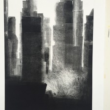 cynthia whalen Mixed Media / New Work Akua monotype with graphite