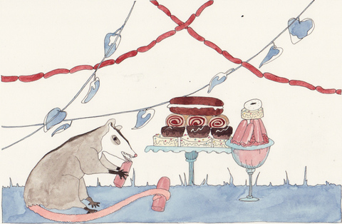 Possum with Cake and Sausage