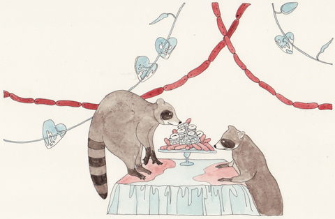 Raccoons and Cake