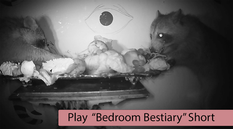  Bedroom Bestiary, 2022 Digital Video