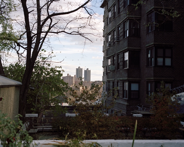 Dan Cook Man VS Nature in the Bronx Yonkers 