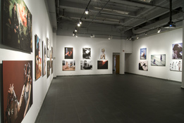 dan halm Install Images 