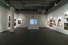 dan halm Install Images 