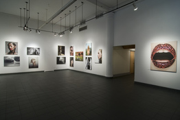 dan halm Install Images 