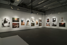 dan halm Install Images 