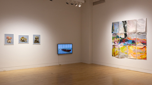 dan halm Install Images 