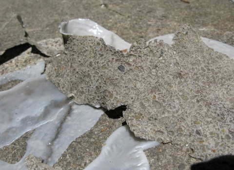 Daniel Healey glue  glue, concrete walkway