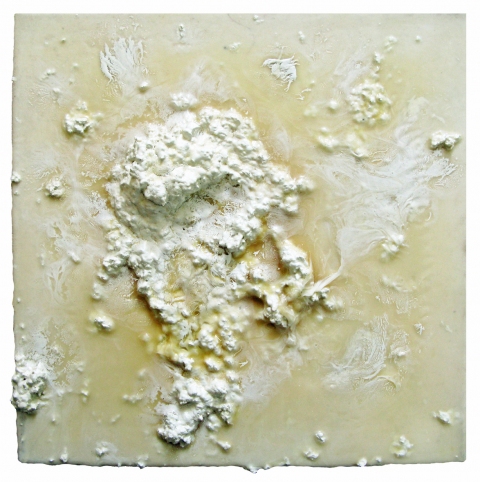 Daniel Healey glue  glue, pulp paper, latex paint, canvas